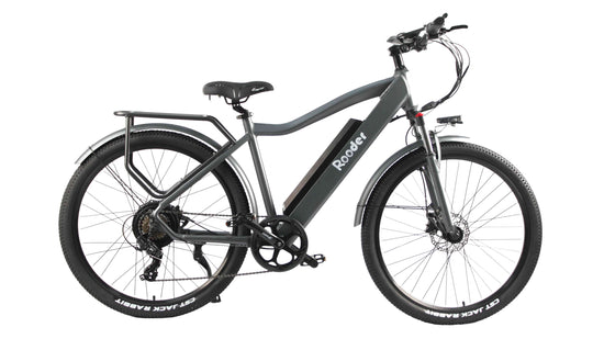 mountain ebikes for sale