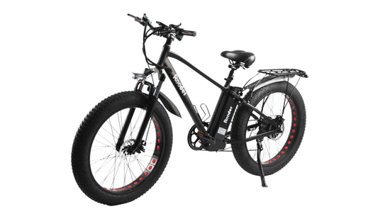 pedal assist electric bike for sale