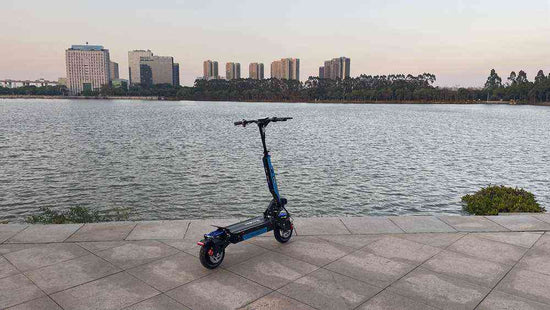 roadside electric scooter for sale