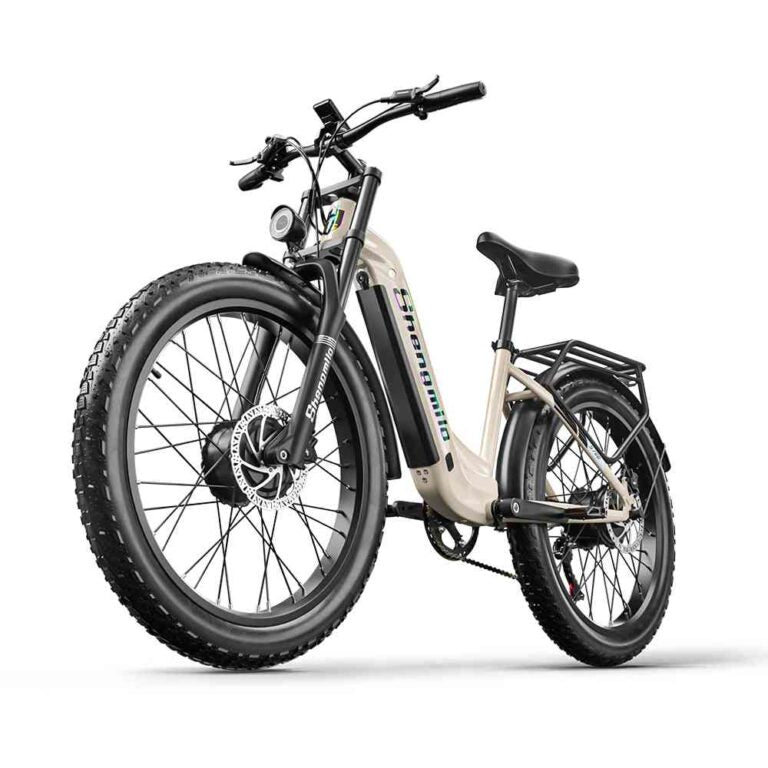 single speed electric bike for sale