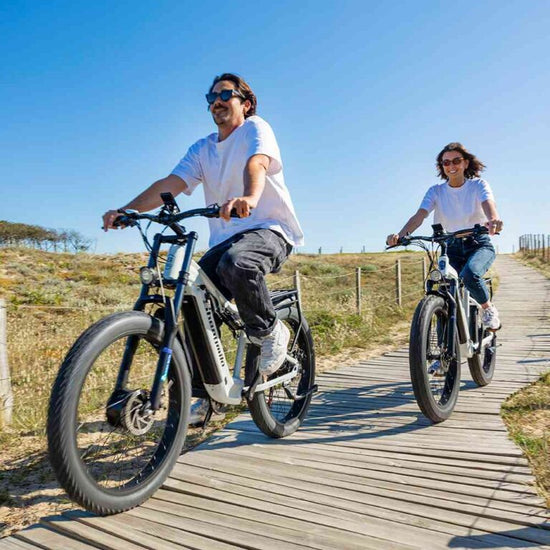 three wheel electric bike for sale