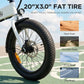 48V Foldable Electric Bike for Adults | 25MPH | 20" x 3.0" Fat Tire