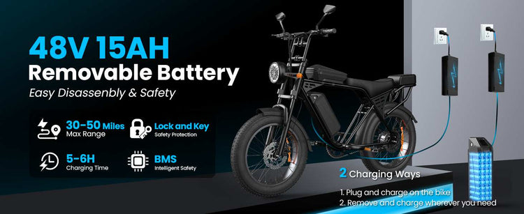 Aairsk X5 748W Electric Bike 20 Off Road Fat Tire 28MPH for Sale 2026 14