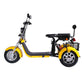 Electric Trike 3 Wheel Citycoco Scooter 60V 2000W 40AH 45KM/H COC EEC