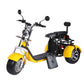 Electric Trike 3 Wheel Citycoco Scooter 60V 2000W 40AH 45KM/H COC EEC