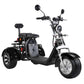 Electric Trike 3 Wheel Citycoco Scooter 60V 2000W 40AH 45KM/H COC EEC