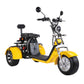 Electric Trike 3 Wheel Citycoco Scooter 60V 2000W 40AH 45KM/H COC EEC