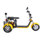 Electric Trike 3 Wheel Citycoco Scooter 60V 2000W 40AH 45KM/H COC EEC