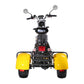 Electric Trike 3 Wheel Citycoco Scooter 60V 2000W 40AH 45KM/H COC EEC