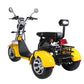 Electric Trike 3 Wheel Citycoco Scooter 60V 2000W 40AH 45KM/H COC EEC