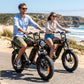 Fat Tire Electric Bike for Adults | 48V 15Ah | NFC Start | 25km/h CE
