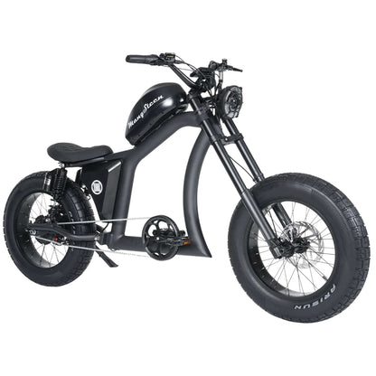 Fat Tire Adult E-Bike Mangosteen FT02–Aluminum Frame, CE EU Approved 25