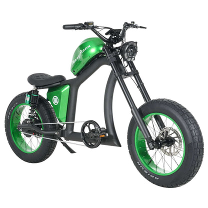 Fat Tire Adult E-Bike Mangosteen FT02–Aluminum Frame, CE EU Approved 24