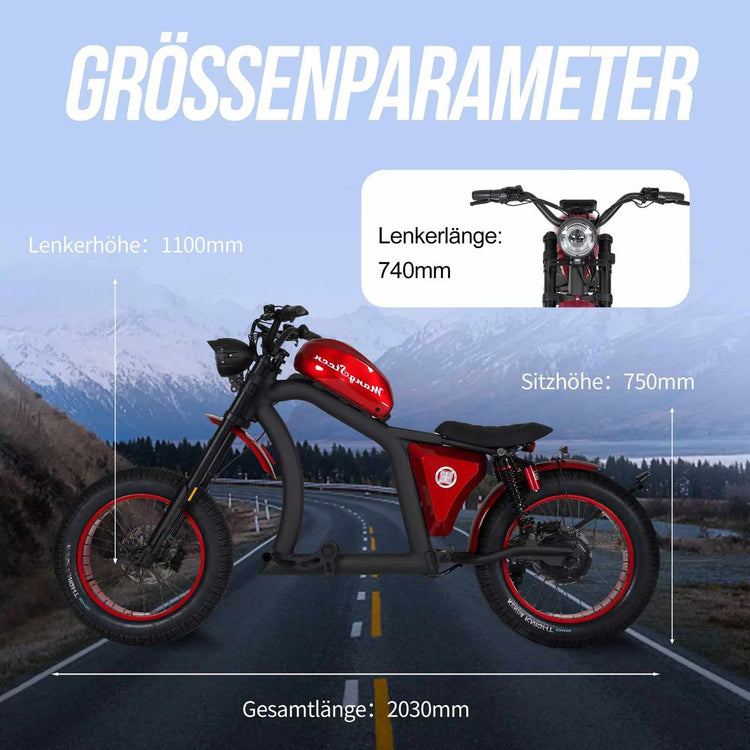 Mangosteen FT02 EEC Chopper E-Bike 48v 22.5ah Switzerland for Sale 19