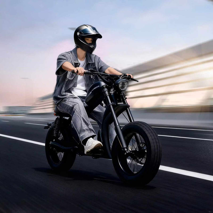 Mangosteen FT02 EEC Chopper E-Bike 48v 22.5ah Switzerland for Sale 18