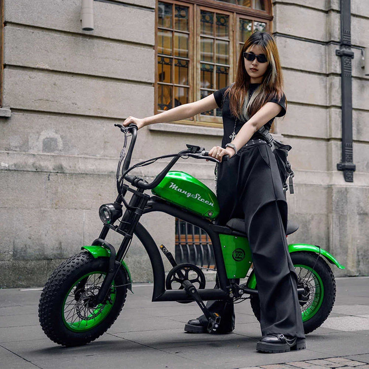 Mangosteen FT02 Electric Bike CE EU Certified for Adults & Teens 22