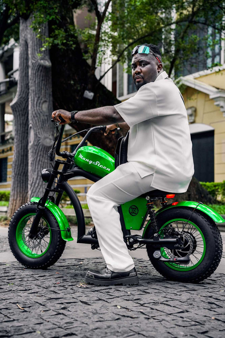 Mangosteen FT02 Electric Bike CE EU Certified for Adults & Teens 24