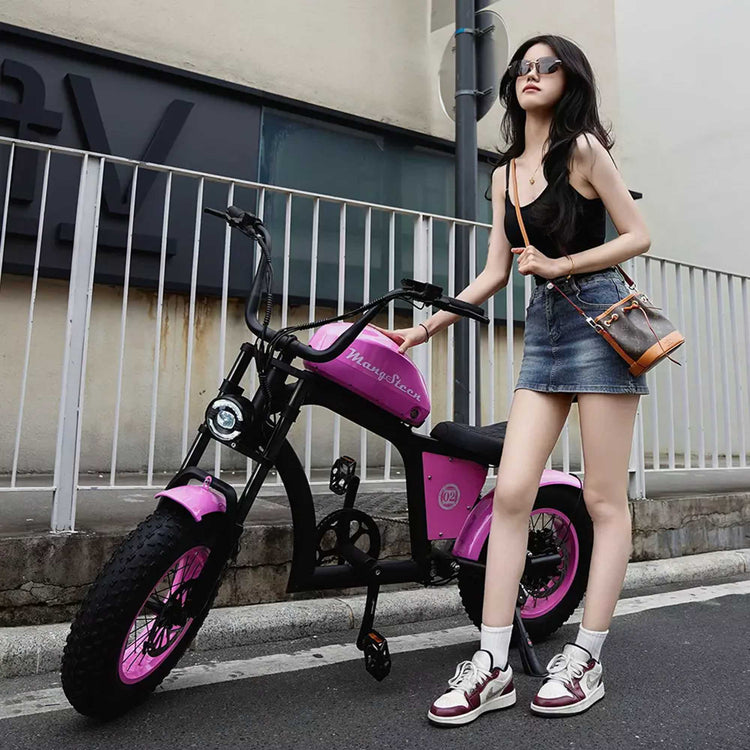 Mangosteen FT02 Electric Bike CE EU Certified for Adults & Teens 25