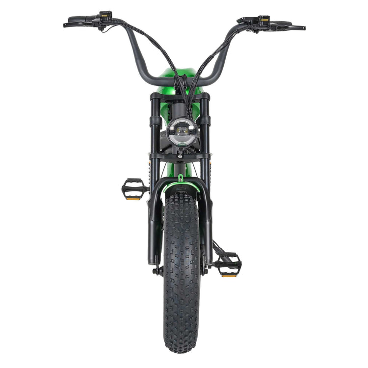 Mangosteen FT02 Electric Bike CE EU Certified for Adults & Teens 29