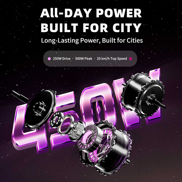 Mangosteen FT02 Electric Bike CE EU Certified for Adults & Teens 14