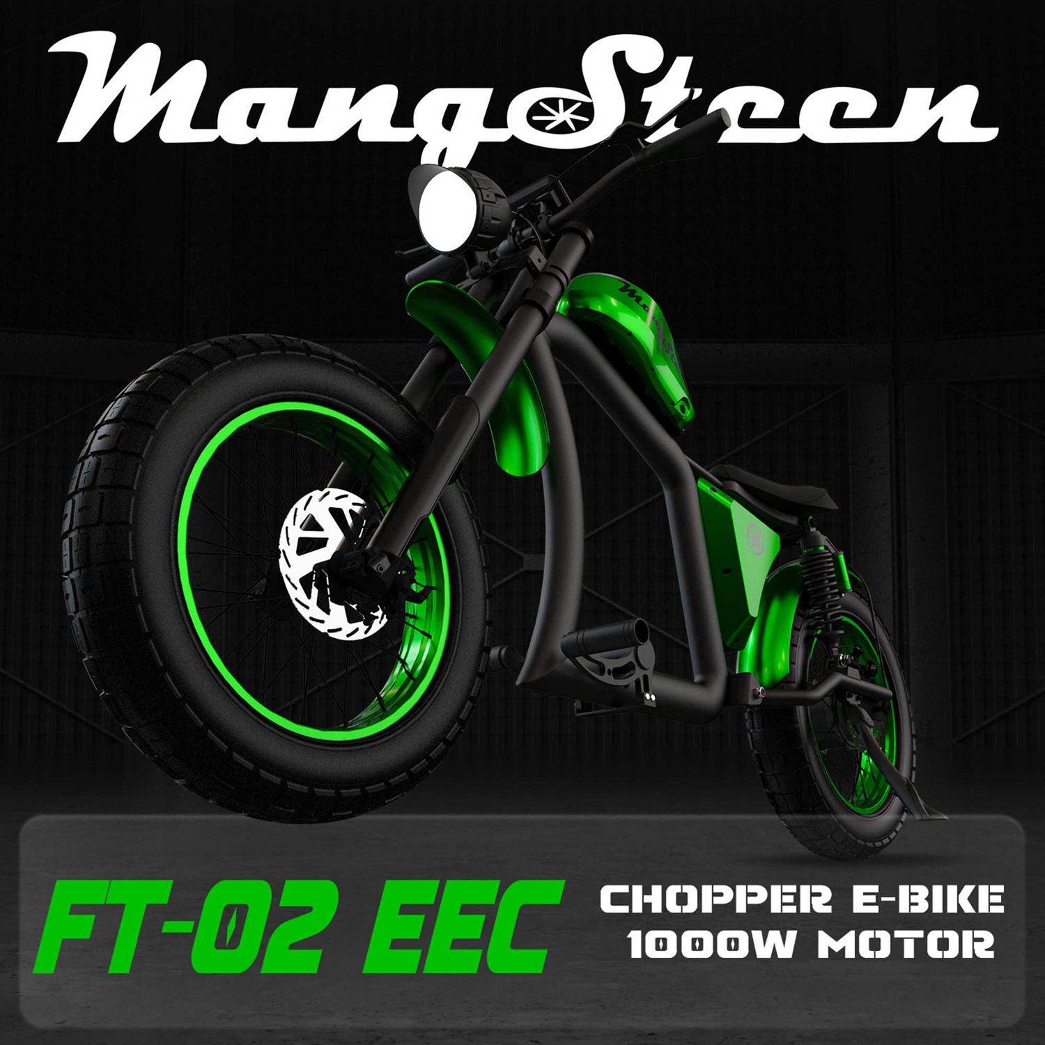 Mangosteen FT02 Street Legal Electric Bike 1000W EEC COC CE Certified 13