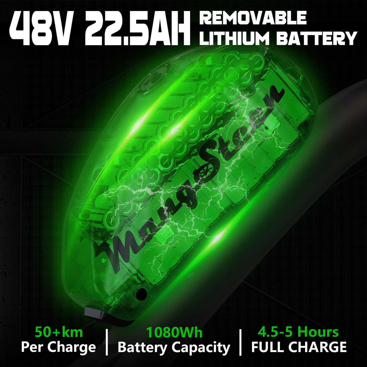 Mangosteen FT02 Street Legal Electric Bike 1000W EEC COC CE Certified 14