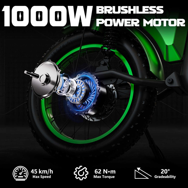 Mangosteen FT02 Street Legal Electric Bike 1000W EEC COC CE Certified 15