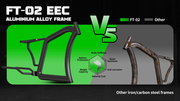 Mangosteen FT02 Street Legal Electric Bike 1000W EEC COC CE Certified 2