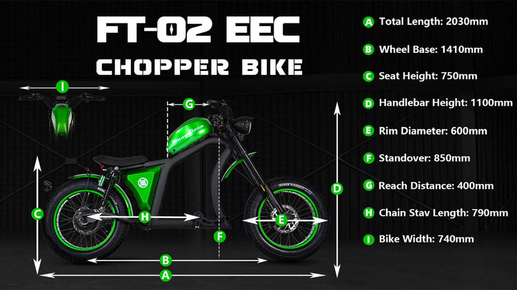 Mangosteen FT02 Street Legal Electric Bike 1000W EEC COC CE Certified 3