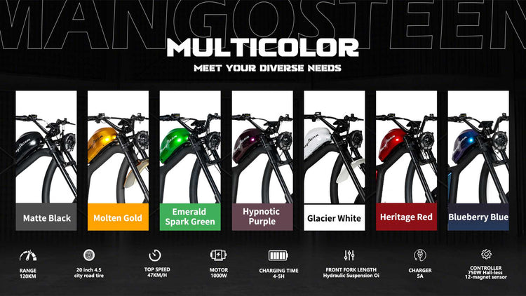 Mangosteen FT02 Street Legal Electric Bike 1000W EEC COC CE Certified 24