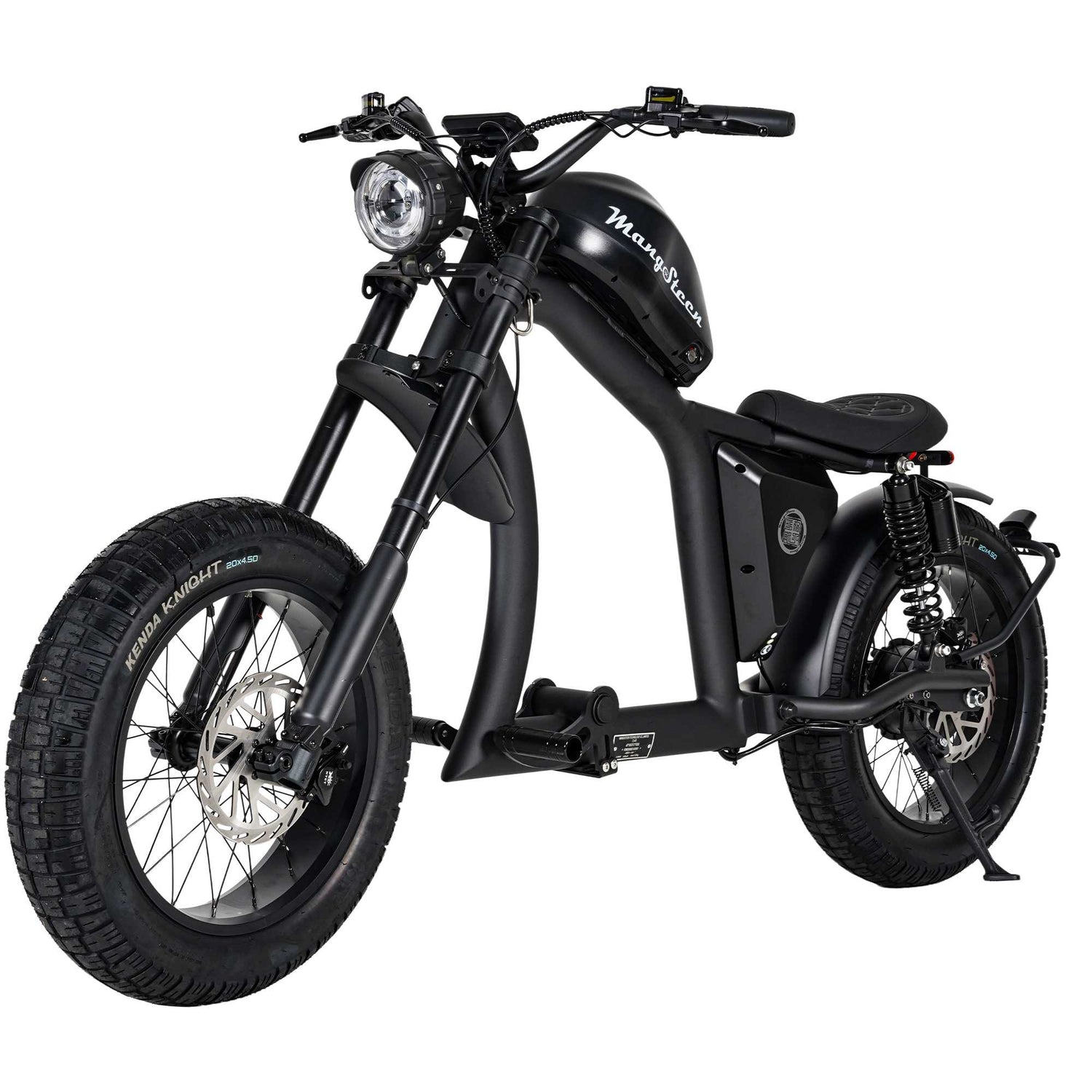 Mangosteen FT02 Street Legal Electric Bike 1000W EEC COC CE Certified 1