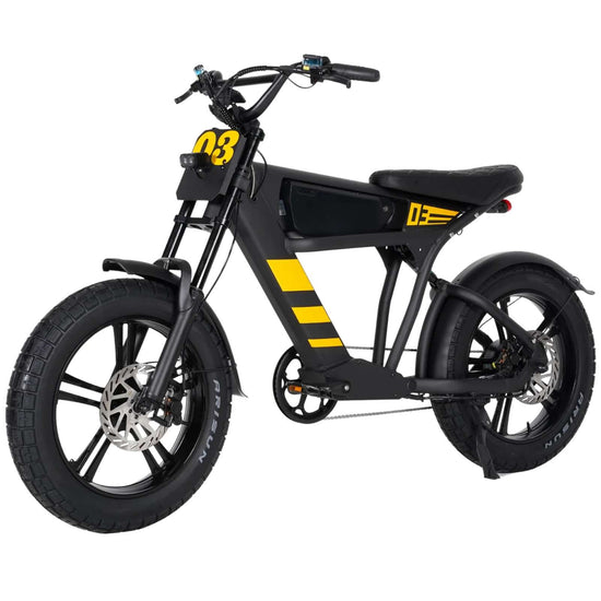 Mangosteen FT03 Electric Bicycle 250w 25km/h Switzerland for Sale 1