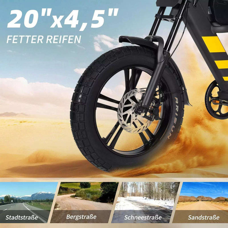 Mangosteen FT03 Electric Bicycle 250w 25km/h Switzerland for Sale 13