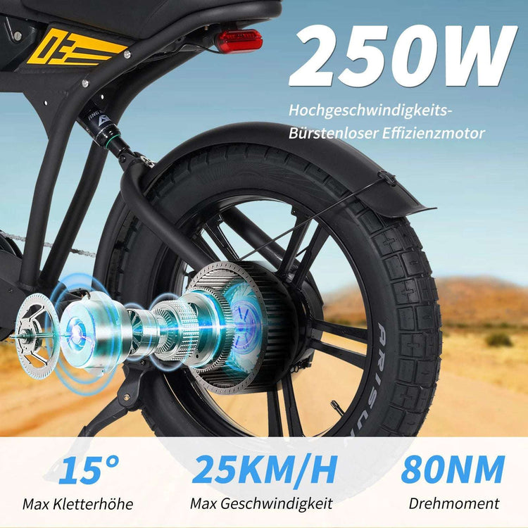 Mangosteen FT03 Electric Bicycle 250w 25km/h Switzerland for Sale 14