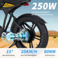 Mangosteen FT03 Electric Bicycle 250w 25km/h Switzerland for Sale 14