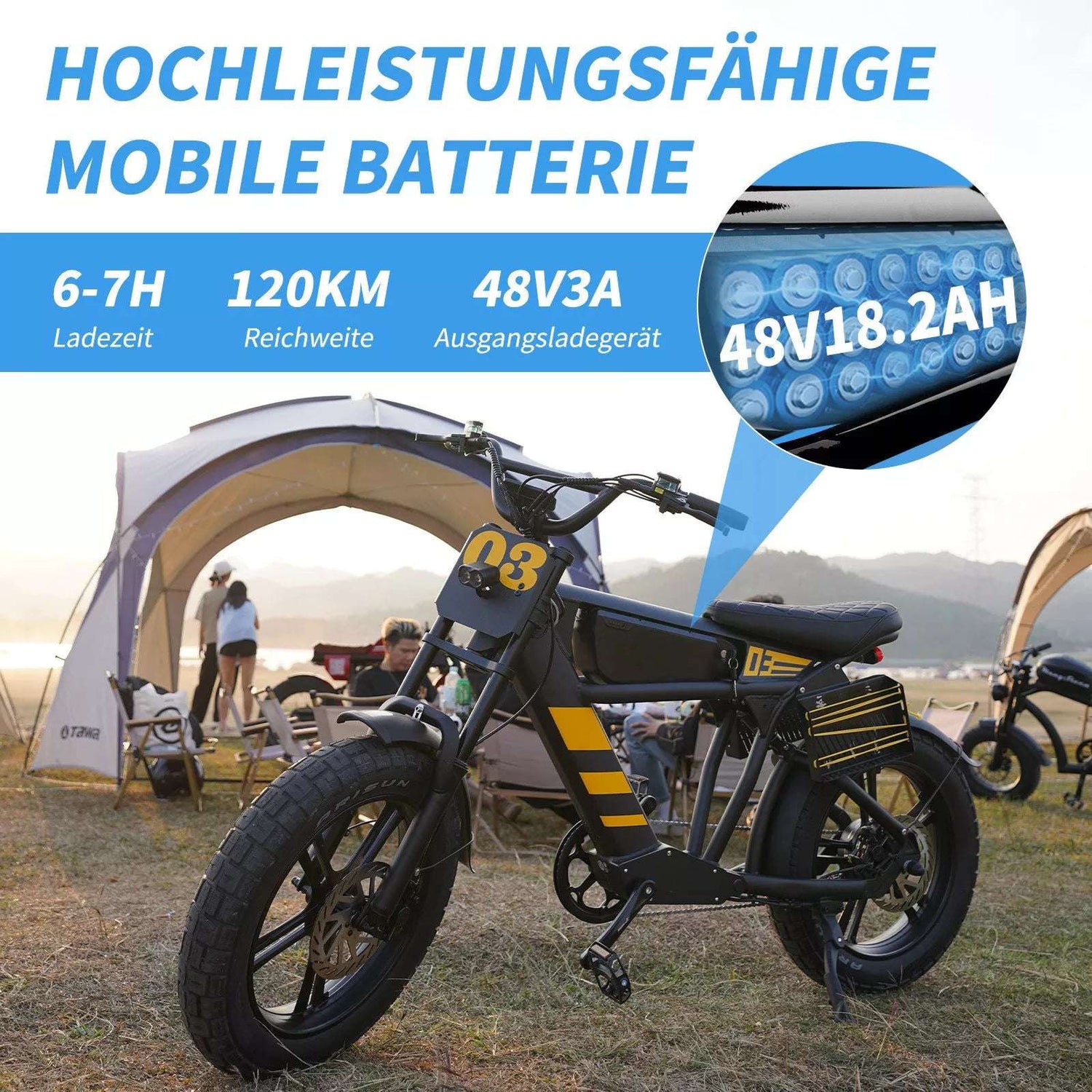 Mangosteen FT03 Electric Bicycle 250w 25km/h Switzerland for Sale 16
