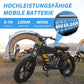 Mangosteen FT03 Electric Bicycle 250w 25km/h Switzerland for Sale 16