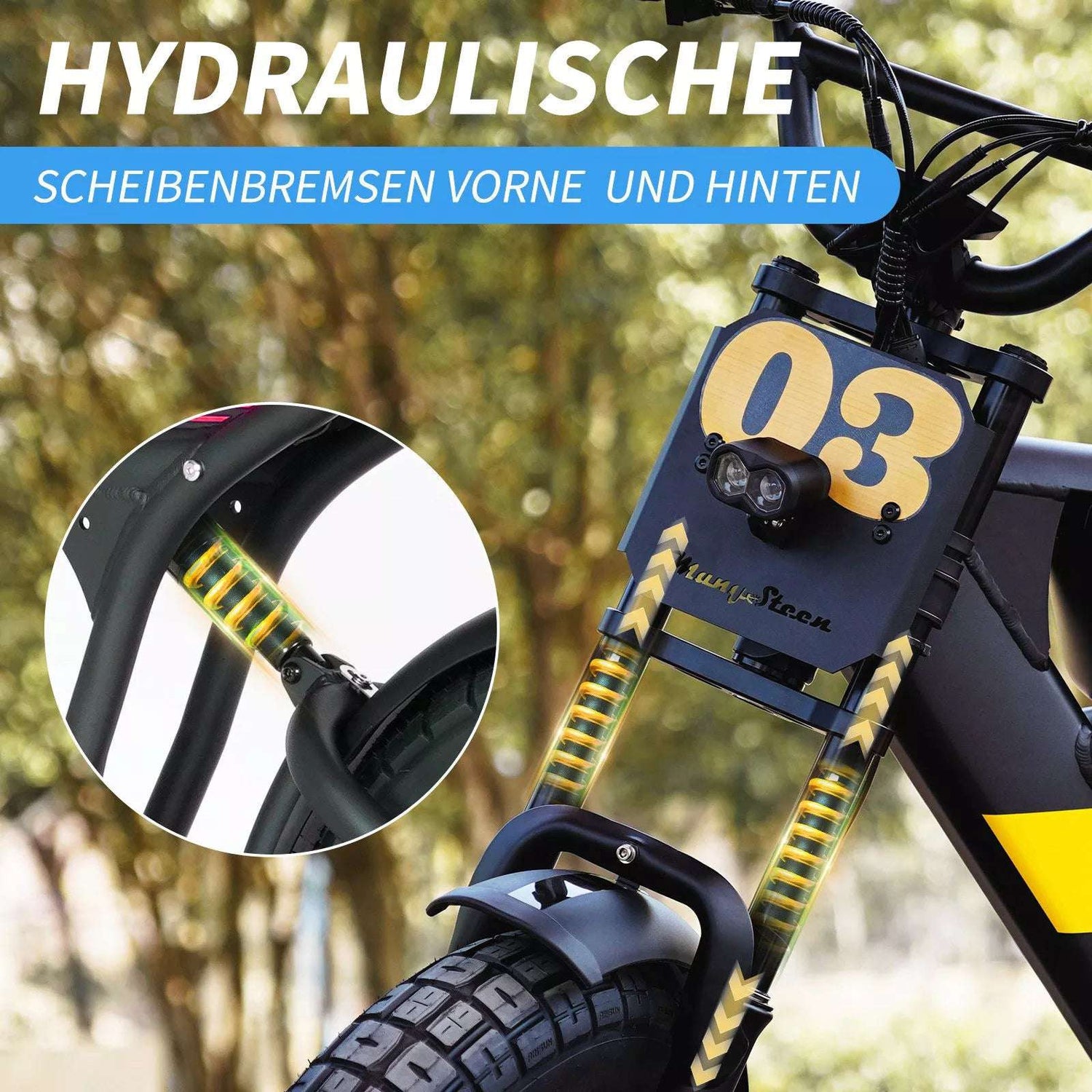 Mangosteen FT03 Electric Bicycle 250w 25km/h Switzerland for Sale 17