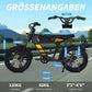 Mangosteen FT03 Electric Bicycle 250w 25km/h Switzerland for Sale 18