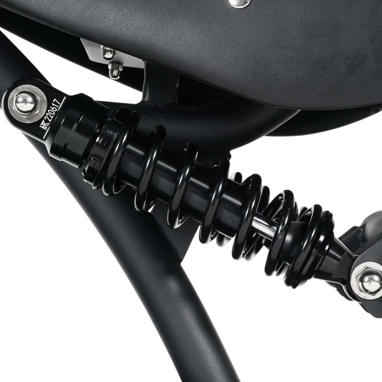 Mangosteen M1PS Citycoco Chopper Electric Scooter 72v 500w Switzerland 19