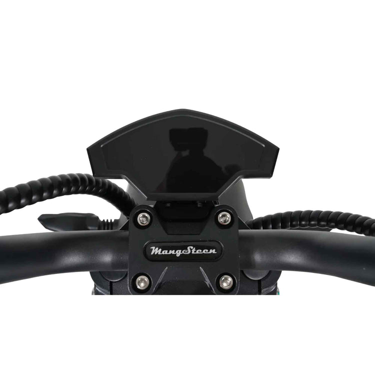 Mangosteen M2 Electric Scooter 2000W 40AH Long Range EEC COC for Sale 28