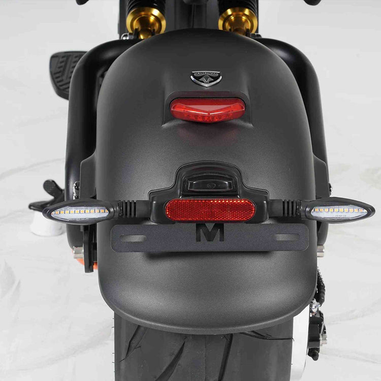 Mangosteen M8S Elektro Roller Chopper 4000w 80km/h EEC COC EU for Sale 31