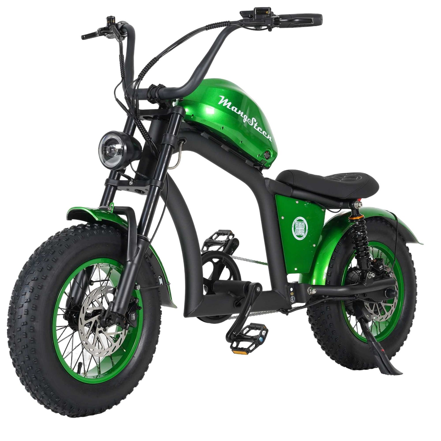 Mangosteen FT02 Electric Bike CE EU Certified for Adults & Teens 1