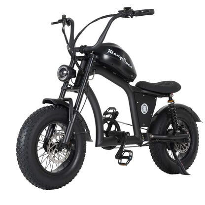 Mini eChopper Bike Mangosteen FT02 250w 25km/h Switzerland for Sae 13