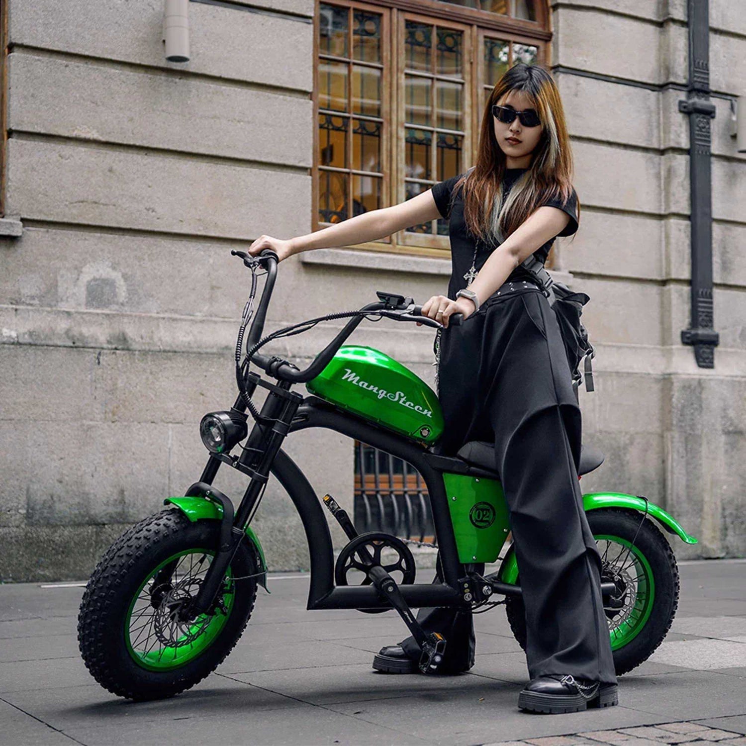 Mini eChopper Bike Mangosteen FT02 250w 25km/h Switzerland for Sae 24