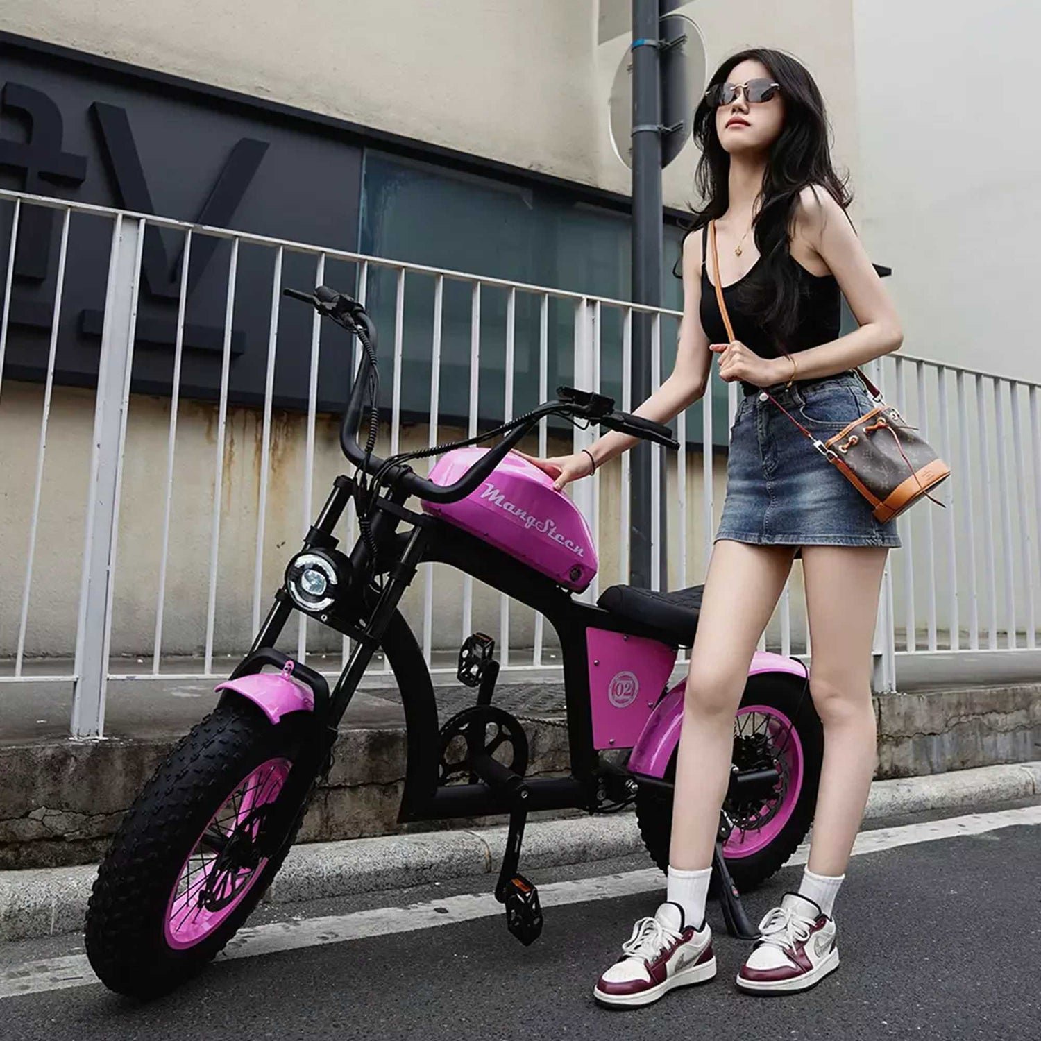 Mini eChopper Bike Mangosteen FT02 250w 25km/h Switzerland for Sae 27