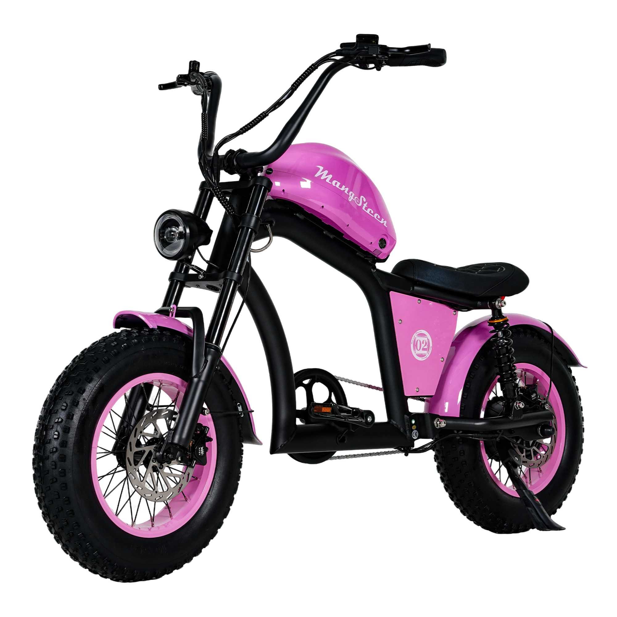 Mini eChopper Bike Mangosteen FT02 250w 25km/h Switzerland for Sae