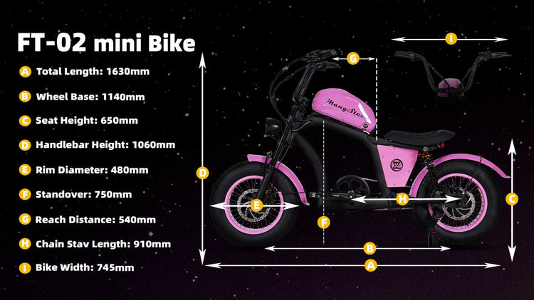 Mini eChopper Bike Mangosteen FT02 250w 25km/h Switzerland for Sae 22