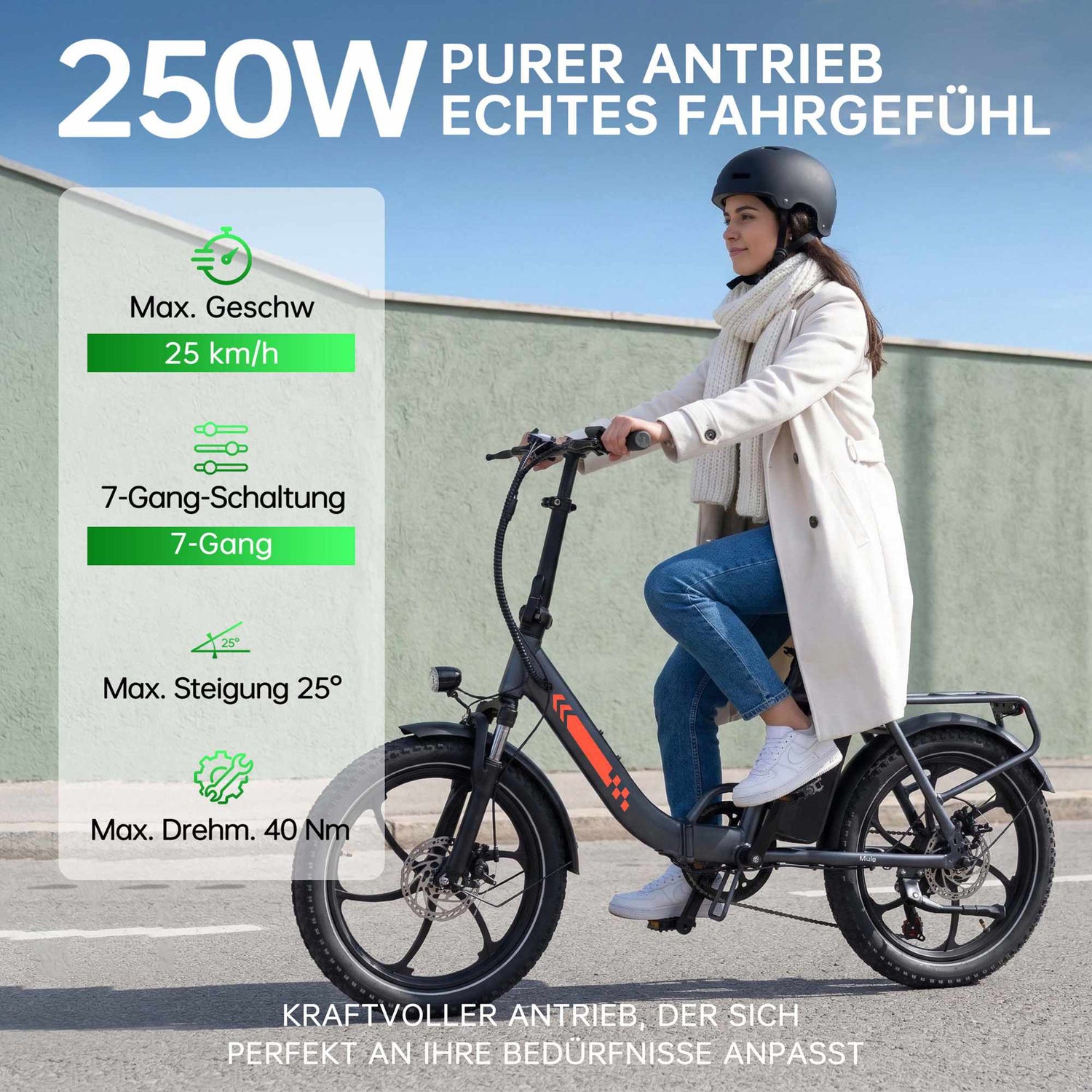 Rooder MULE Folding Electric Bicycle - 250w 25km/h 7 gear 40NM