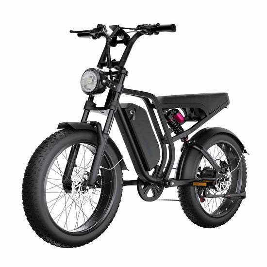 Rooder SU8 Fat Tire Electric Bike 1500W 52V 20Ah 25KM/H CE for Sale
